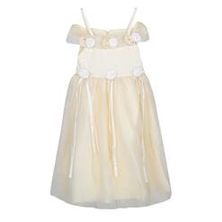 Beautiful Flower Silk Ribbon Princess Dress N9482